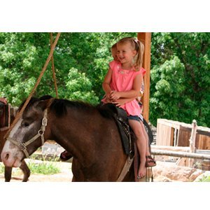 Ponies package 1 Hour